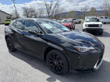 Used 2022 Lexus UX 250h w/ Premium Package image 2