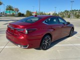 Certified 2024 Lexus ES 250 w/ Premium Package image 3