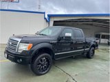 Used 2009 Ford F150 Platinum image 2