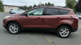 Used 2018 Ford Escape SE image 2