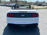 Certified 2020 Ford Mustang Premium w/ Equipment Group 201A image 5