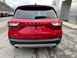 Used 2022 Ford Escape SEL image 3