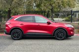 Used 2020 Ford Escape SE image 3