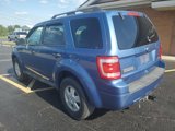 Used 2010 Ford Escape XLT image 4