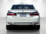 Used 2017 Honda Accord Sport Special Edition image 4