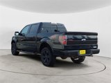 Used 2013 Ford F150 FX4 w/ Luxury Equipment Group image 3