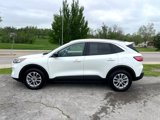 Used 2022 Ford Escape SE image 4