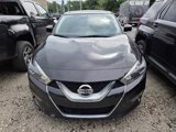 Used 2016 Nissan Maxima Platinum image 2