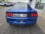 Used 2017 Ford Mustang Coupe image 3