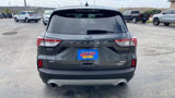Used 2020 Ford Escape SE image 6