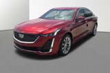 New 2024 Cadillac CT5 Premium Luxury w/ Parking Package image 3