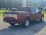Used 2015 Ford F150 Platinum w/ Equipment Group 701A Luxury image 6