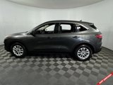 Used 2020 Ford Escape SE image 4