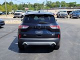 Used 2020 Ford Escape SE image 5