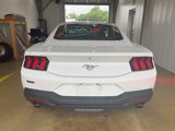 Used 2024 Ford Mustang Coupe image 4