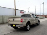 Used 2009 Ford F150 XLT image 5