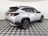 Used 2025 Hyundai Tucson Limited image 4