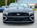 Used 2020 Ford Mustang Premium image 2