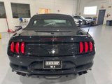 Used 2020 Ford Mustang GT Premium w/ Equipment Group 401A image 6