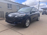 Used 2021 Ford Escape SE w/ Convenience Package image 2