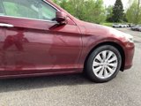 Used 2013 Honda Accord EX-L image 5