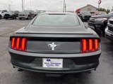 Used 2015 Ford Mustang Coupe w/ Equipment Group 051A image 3