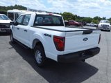 New 2024 Ford F150 XL image 3
