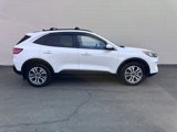 Used 2022 Ford Escape SEL image 5