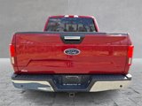 Used 2019 Ford F150 XLT w/ Equipment Group 302A Luxury image 5
