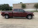 Used 2010 Ford F150 XLT image 4