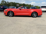 Used 2016 Ford Mustang Premium w/ Equipment Group 201A image 3