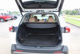 Used 2019 Toyota RAV4 Limited image 5
