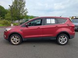 Used 2019 Ford Escape SE image 6