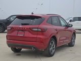 New 2024 Ford Escape ST-Line w/ Tech Pack #1 image 4