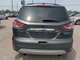 Used 2016 Ford Escape Titanium image 6