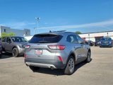 Used 2022 Ford Escape SEL image 5