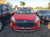 Used 2020 Ford Escape SEL image 6