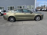 Used 2013 Ford Fusion SE image 4