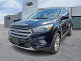 Used 2019 Ford Escape SEL image 2
