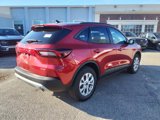 New 2025 Ford Escape Active w/ Active Premium Tech Pack image 3
