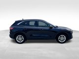 Used 2021 Ford Escape SE w/ Convenience Package image 6