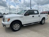 Used 2012 Ford F150 XLT w/ XLT Chrome Pkg image 3