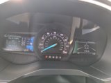 Used 2020 Ford Edge Titanium w/ Equipment Group 301A image 2