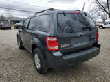 Used 2009 Ford Escape XLT image 4