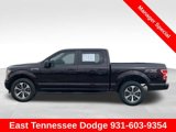 Used 2020 Ford F150 XL w/ Equipment Group 101A Mid image 4