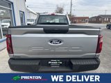 New 2025 Ford F150 XL image 5