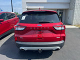Used 2020 Ford Escape SEL image 4