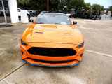 Used 2021 Ford Mustang GT w/ Black Accent Package image 3