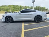 Certified 2021 Ford Mustang Premium image 3