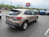 Used 2020 Ford Escape SE image 6